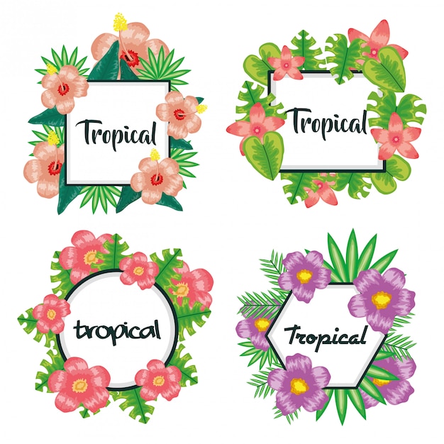 Set of frames with tropical flowers and leafs