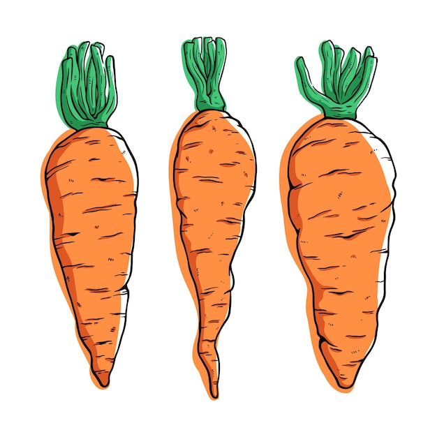 набор свежей моркови с цветным стилем рисования руки