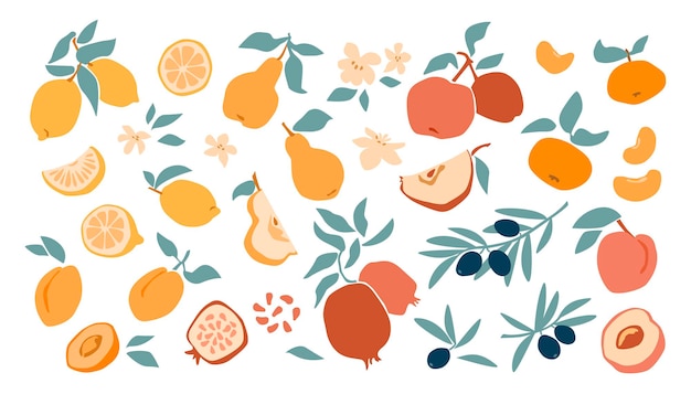 新鮮なフルーツレモン、桃、リンゴ、マンダリン、アプリコット、ザクロ、オリーブの手描きスタイルの白い背景で隔離のセット。ベクトルフラットイラスト。テキスタイル、ラベル、ポスター、カードのデザイン