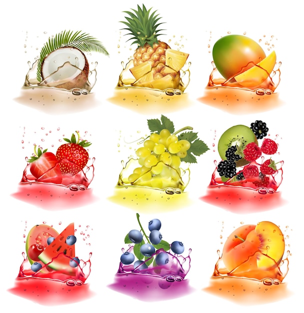 Set of fresh fruits and berries in juice splash Pineapple strawberry raspberry blackberry coconut blueberry mango watermelon kiwi Vector