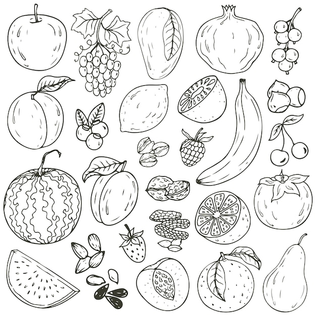 Set of fresh healthy hand-drawing fruits isolated.