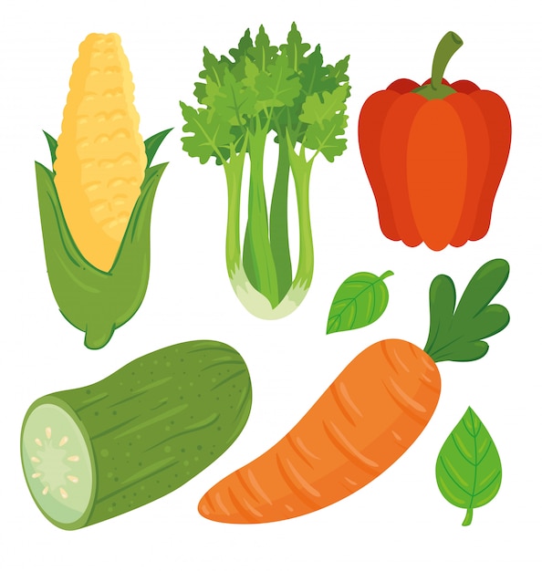 Cartoon fresh vegetables set 11520488 Vector Art at Vecteezy