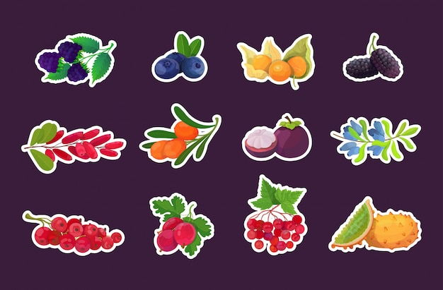 Set fresh juicy berries tasty ripe fruits icons collection healthy food concept horizontal