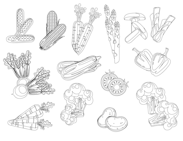 Vector set of fresh raw vegetables flat vector illustration isolated on white background outline style.