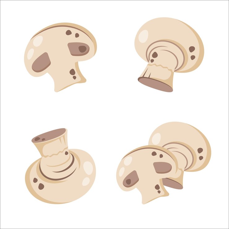 Vector set of fresh ripe mushroom champignon isolated on white background whole white fungi and sliced mushroomes healthy organic food natural raw veggie vector flat illustration