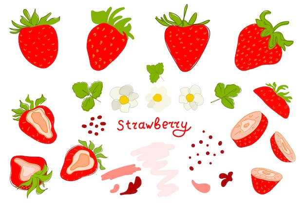 Vector set fresh strawberry red berries leaves doodle minimal style handdrawn vegetarian food