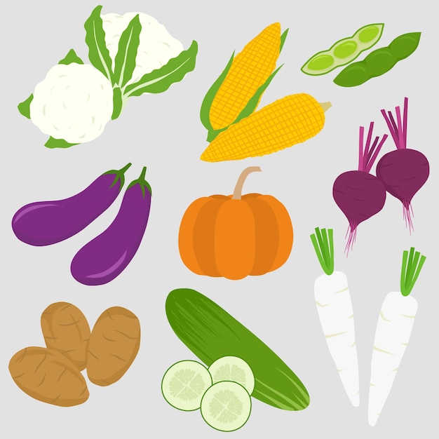 set of fresh vegetables flat illustration