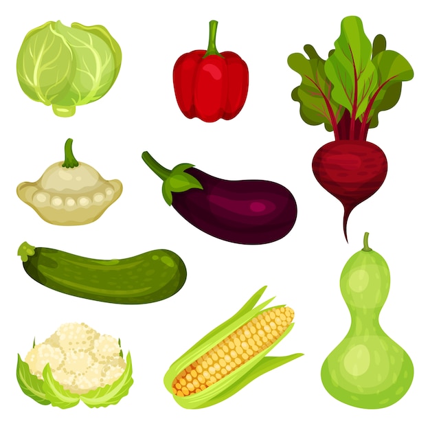 신선한 야채 세트입니다. 건강에 좋은 음식. 천연 농산물. 샐러드 재료. 식료품 점의 홍보 포스터 그래픽 요소.