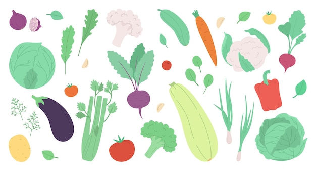 白いモダンなベクトル図に分離された新鮮な野菜とハーブのセット