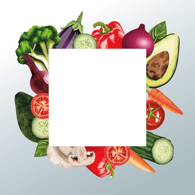 Set of fresh vegetables in square frame