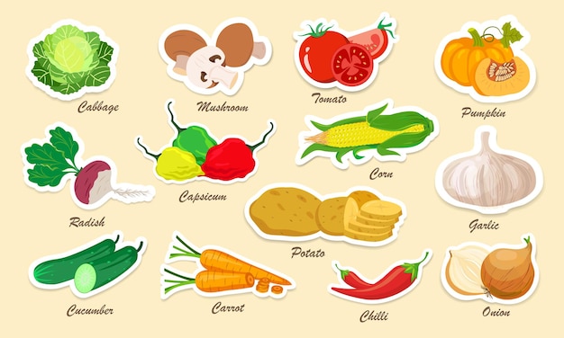 Set of fresh vegetables stickers