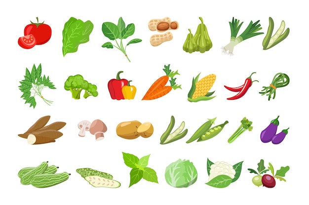 Set of Fresh Vegetables