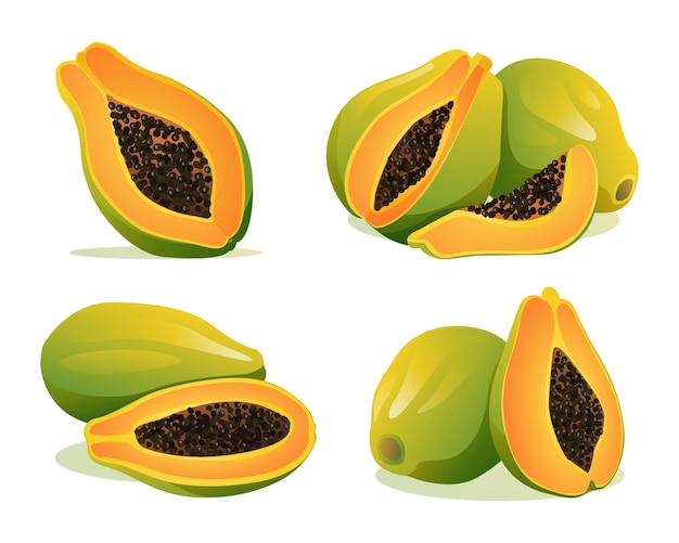 Set of fresh whole and half cut papaya illustration isolated on white background