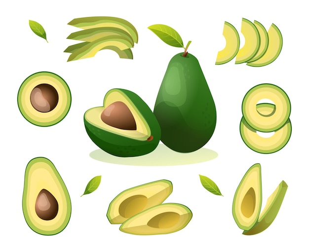 Set di fette fresche intere tagliate a metà e foglie di avocado illustrazione isolato su sfondo bianco