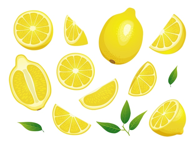 Set of fresh whole half and cut slice lemon illustration isolated on white background