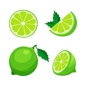 Premium Vector  Lime line icon in vector citrus fruit illustration