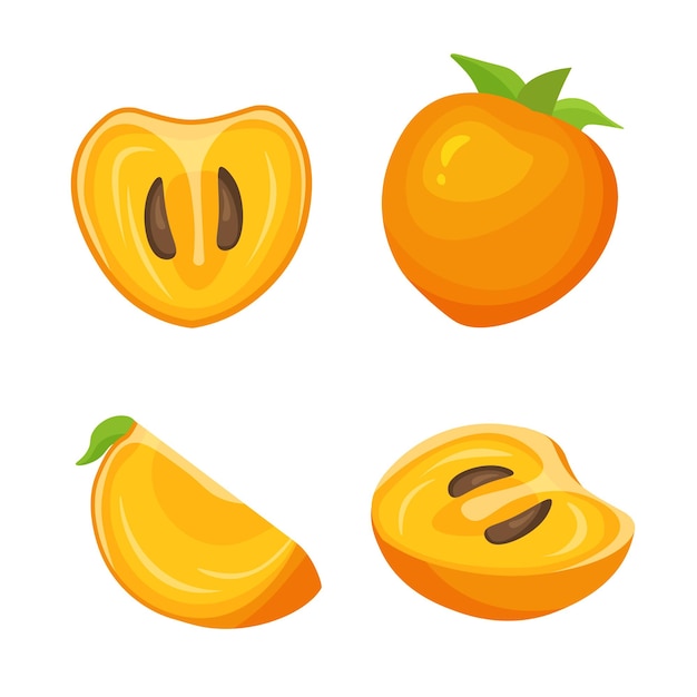 Set of fresh whole half cut slice of persimmon vegan food vector icons in a trendy cartoon style