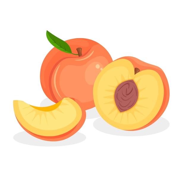 Set of fresh whole, half, cut slice and piece of peach isolated on white background. Vegan food icons in a trendy cartoon style. Healthy concept.