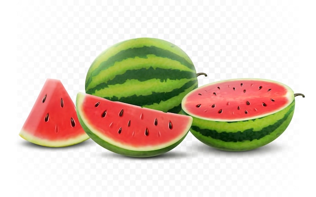 Set of fresh whole half cut slice and piece of watermelon isolated on white background Vegan food vector icons in a trendy realistic 3d style Healthy food concept