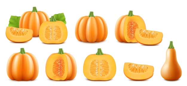 Vector set of fresh whole half and sliced pumpkins isolated on white background traditional autumn vegetables harvest vegetarian food thanksgiving design farmers market realistic 3d vector