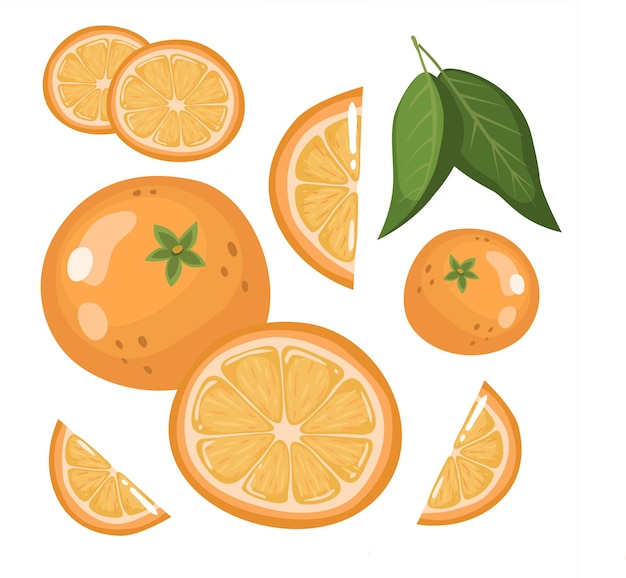 Vettore set di fette fresche intere, metà, affettate di frutta arancione, isolate su uno sfondo bianco. mandarino. frutta biologica. stile cartone animato. illustrazione vettoriale per qualsiasi disegno.