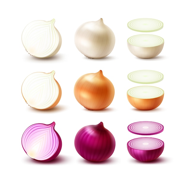 Vector set of fresh whole and sliced onion bulbs