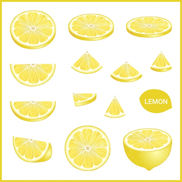 Set of fresh yellow lemon in various slice styles vector format