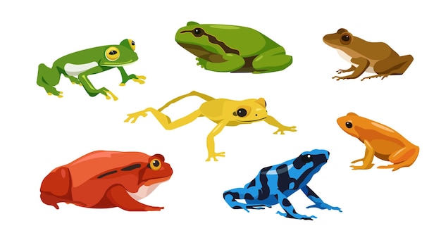 Set of frogs in cartoon style Vector illustration of reptiles isolated on white background Types of frogs in picture glass tree craugastor tomato golden poison mantella poison dart