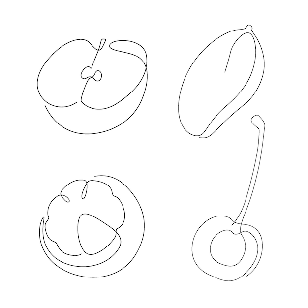 Vector set of fruit line art and continuous line concept apple mango mangosteen cherry