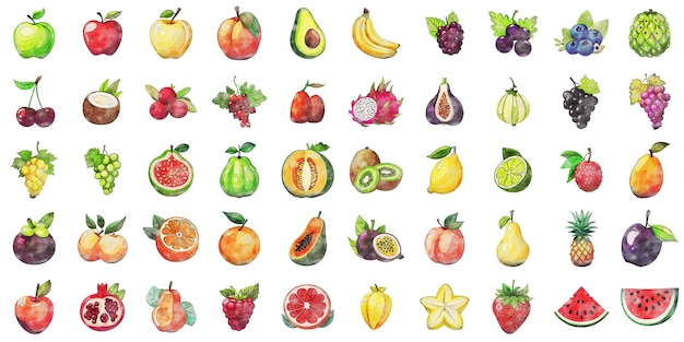 Vector set of fruit watercolor vector illustration