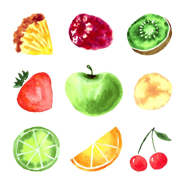 Vector set of fruits and berries isolated on white background loose watercolor technique