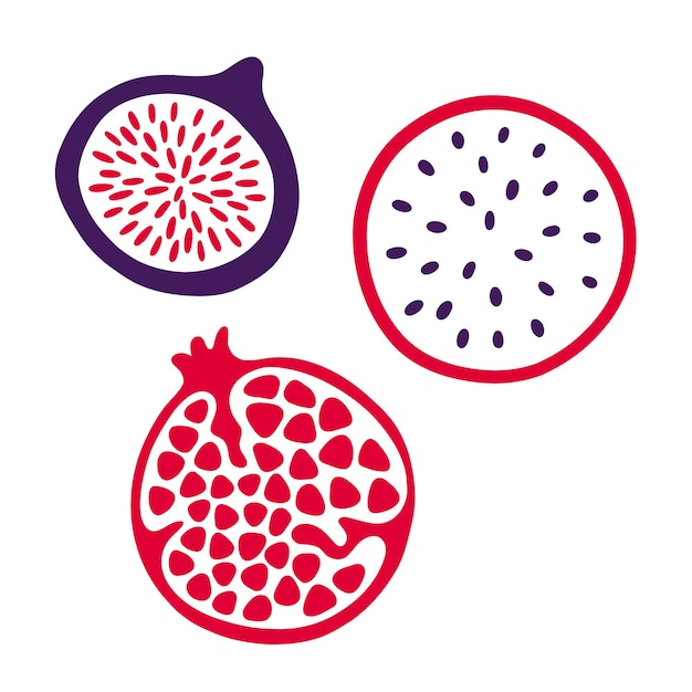 Set of fruits Dragon fruit pomegranate fig Outline vector illustration