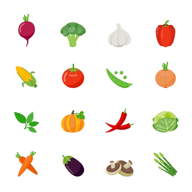 Set of full color Vegetable icon flat design Vector illustration