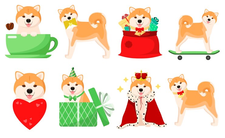 白い背景の上の面白い秋田犬のセット漫画のデザイン