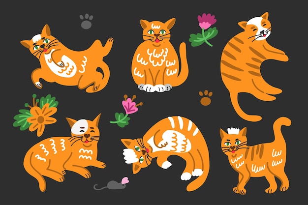 Set di gatti divertenti in diverse pose