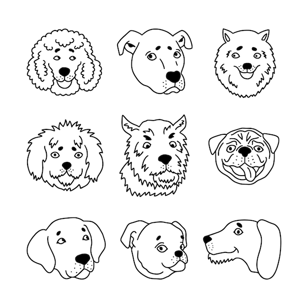 Set of funny dog heads in doodle style Cute faces of pets in outline style Vector