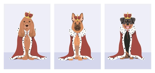 Vector a set of funny dogs in royal clothes cartoon style