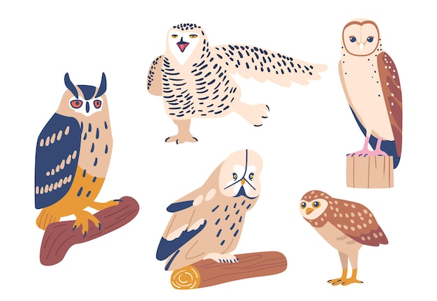 Set of funny owls, different birds sitting on tree branches.\
wild animals, flying creatures in cute scandinavian style
