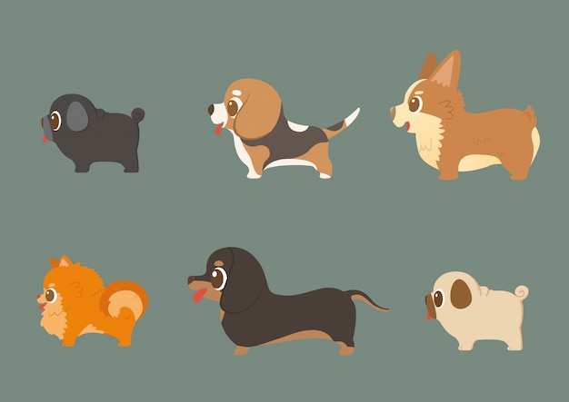 set of funny purebred dogs