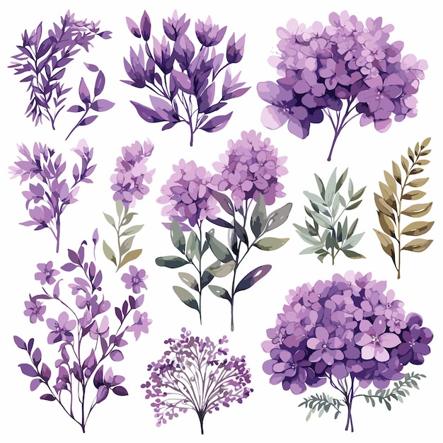 Vector set funnytree watercolor purple floral