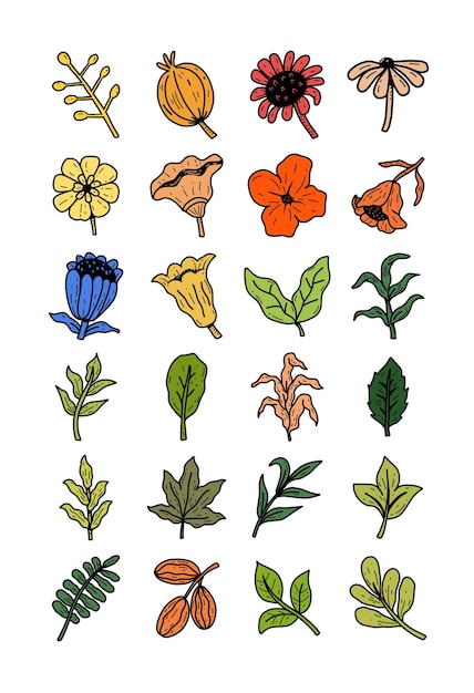 set of garden plant element hand drawn style