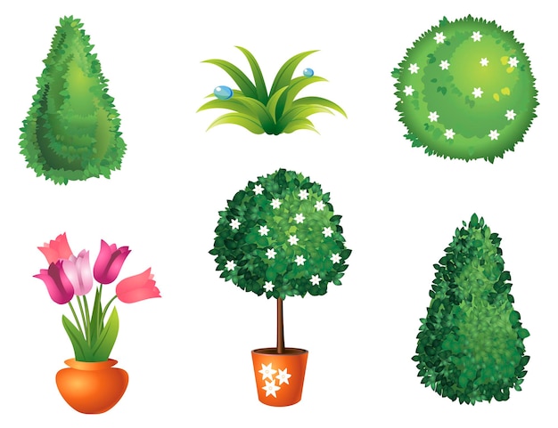 Vector set of garden plants with flowers and leaves