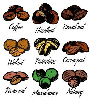 Set gekleurde symbolen patronen verschillende zaden noten fruit