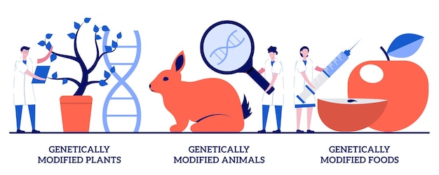 Vector set of genetically modified plants, animals and foods, dna engineering industry