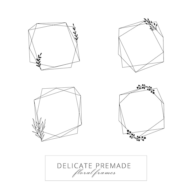 Set of geometrical frames and botanical elements