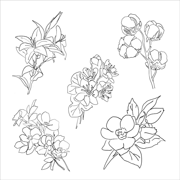 Vector set getekende lineaire bloemen cartoon schets op een witte achtergrond