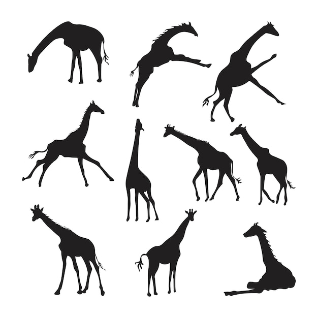 Set of giraffe animal silhouettes of various styles