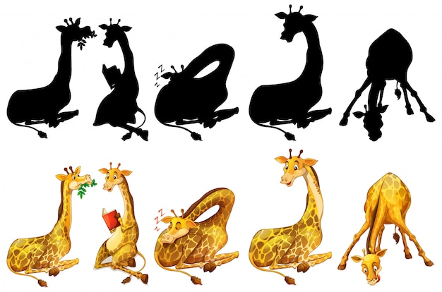 Vector set of giraffe and its silhouette