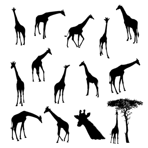 Set of giraffe silhouette vector illustration eps10