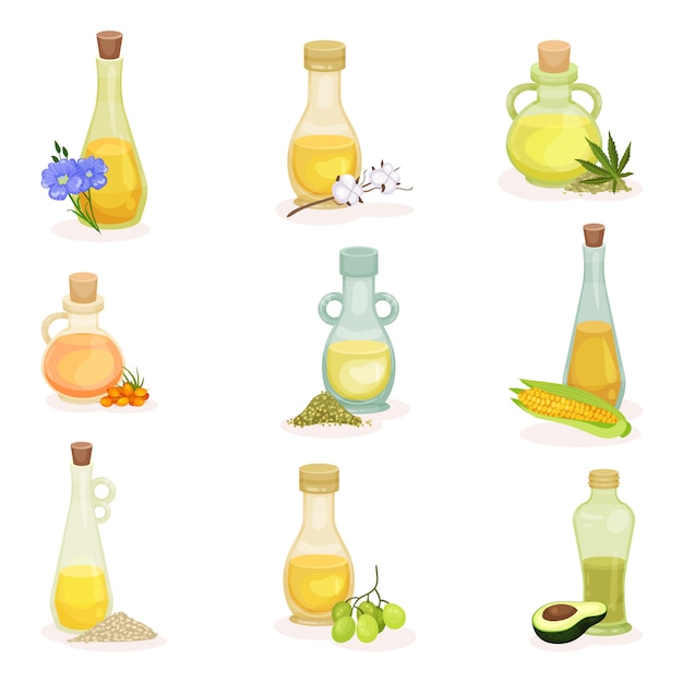   set of glass bottles of different cooking oils. Fresh and natural products. 100 organic ingredients